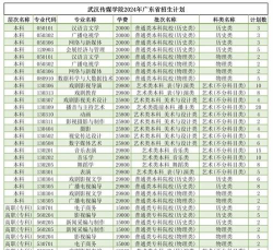 2024年武汉传媒学院艺术类专业有哪些