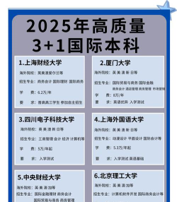 国际本科3+1有哪些学校好考