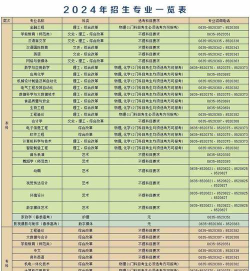 2024年聊城大学东昌学院艺术类专业有哪些