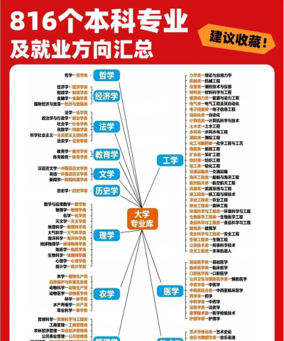 国际本科学校有哪些专业