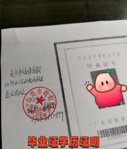 黑龙江2024年上中专学校需要什么证件