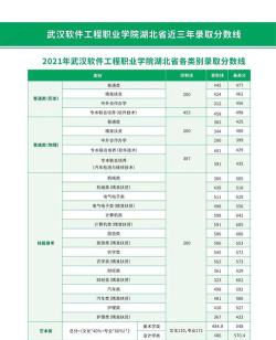 2024武汉软件工程职业学院各省录取分数线是多少