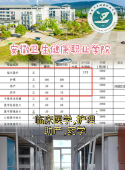 安徽省安庆卫生学校2024年有哪些专业