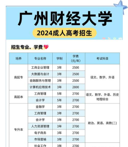 2024广东财经学院2加2项目开设专业有哪些