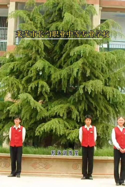 莱芜长勺职业中专2024年有哪些专业