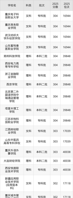 2025年高考305分左右能上什么大学