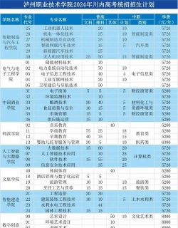 泸州职业技术学院软件技术专业怎么样