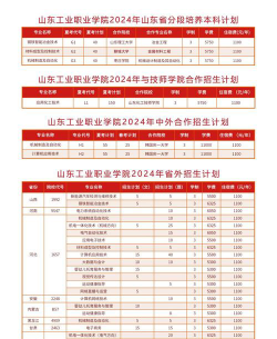 山东工业职业学院属于什么档次