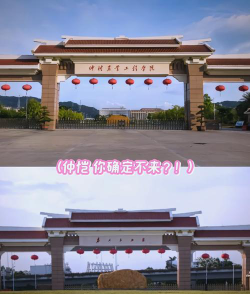 仲恺农业工程学院是985还是211
