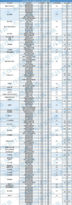 广西外国语学院2024年在河南各专业录取分数线