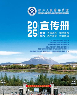 2025云南广告设计学校有哪些