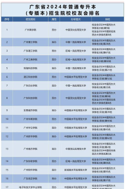 校友会2024年百色市大学排名