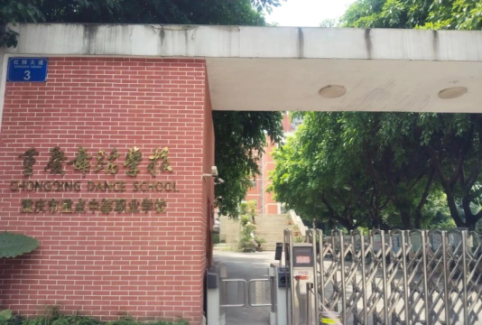 重庆舞蹈表演专业学校有哪些