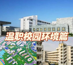 温州职业学院怎么样啊