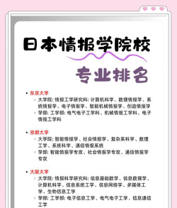 日本大学情报类专业排名