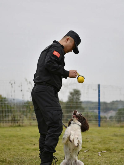 专业训练训犬员是干嘛的