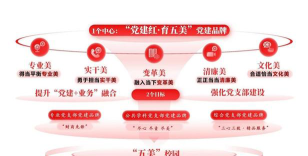 党建专业排名靠后原因