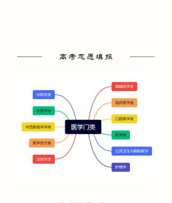 医学类专业中哪些学起来比较轻松