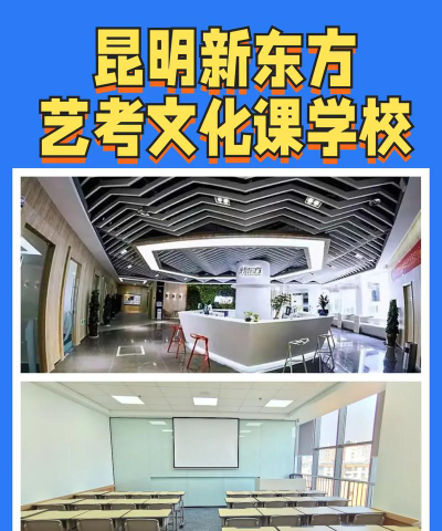 高考艺考培训学校哪些比较好