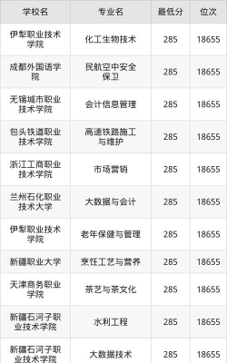 新疆高考285分能上的大学有哪些？
