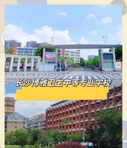 2024年湖北卫生学校有哪些