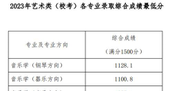 美声专业综合类大学排名 美声专业综合类大学排名