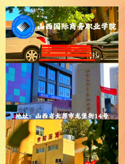 山西国际商务职业学院的学校代码是什么
