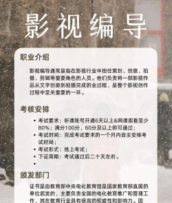 影视编导是本科吗