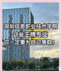 深圳信息职业技术学院开设哪些专业