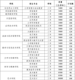 丽江师范高等专科学校艺术类专业有哪些
