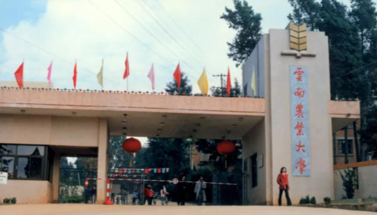 云南大学和西南农林科技大学哪个好