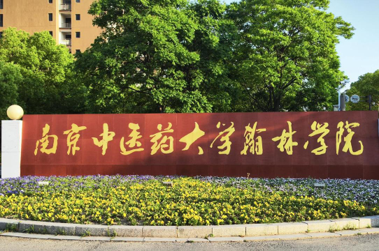 南京中医药大学翰林学院评价怎么样
