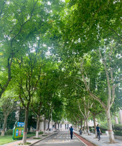 西安外事学院VS西安医学院哪个实力更强