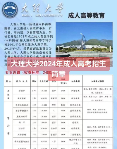 2024年大理大学在河南计划招生人数