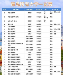 现代青岛有什么大学吗
