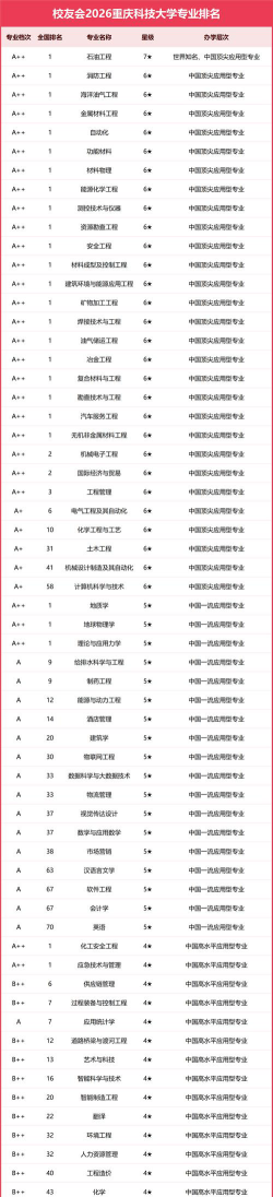 重庆哪些大学有石油工程专业