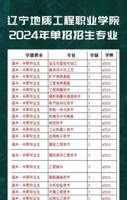 辽宁哪些大学有矿物加工工程专业