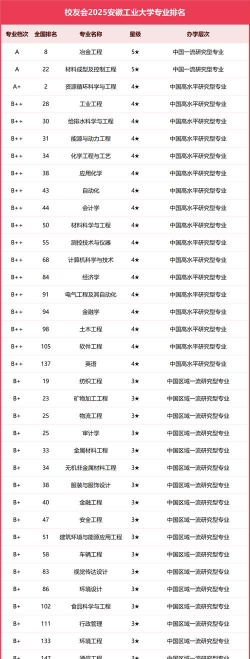 安徽哪些大学有矿物加工工程专业