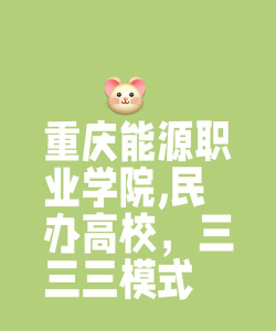 重庆能源职业学院是民办的吗