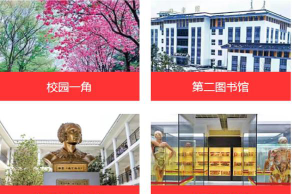 2024年清华大学和昆明卫生职业学院对比数据