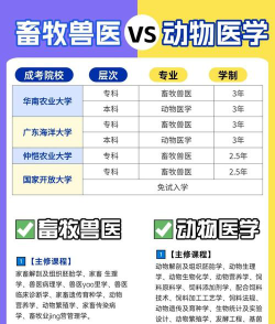 教育宠物学校排名
