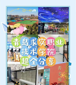 青岛求实学院的排名