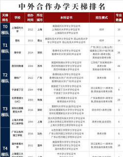 湖北中外合办大学排名