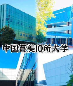 我的最美大学排名