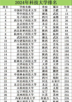 2024全国网络科技学院排名