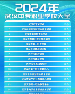 2024武汉市职业学院排名
