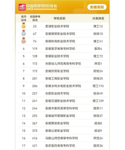 2024安徽各职业学院排名前十