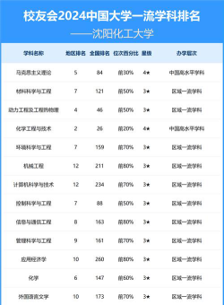 2024沈阳化工工大学排名