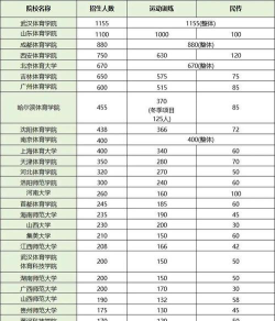 2024拳击体育单招大学排名