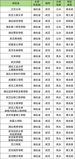2024年武汉二本美术类大学排名